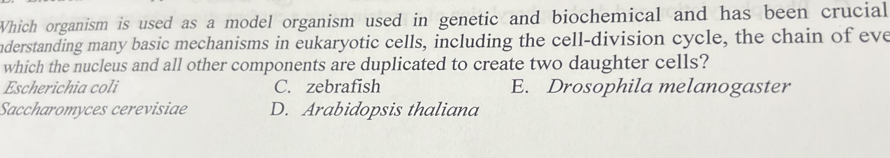 Solved Which organism is used as a model organism used in | Chegg.com