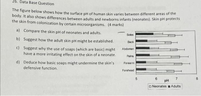 What Is the pH of Human Skin? 