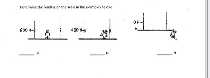 Solved Determine the reading on the scale in the examples | Chegg.com