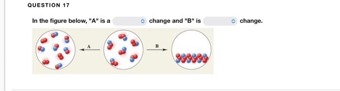 Solved QUESTION 17 In the figure below, "A" is a A change | Chegg.com