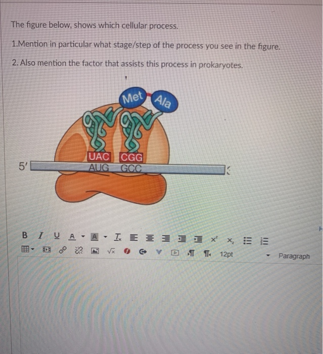 Solved The figure below, shows which cellular process. | Chegg.com