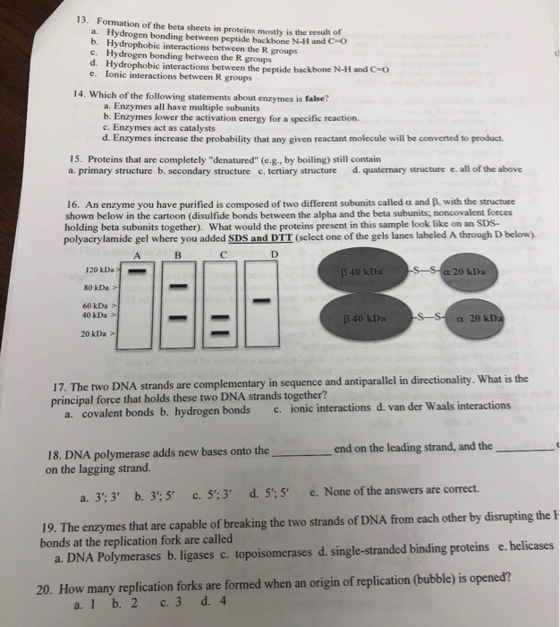 Solved 1 The Molecule Pictured At Right Has Two Kinds Of Chegg Com