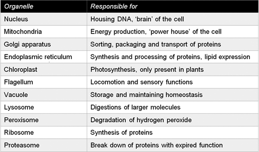 Definition Of Cellular Organelles Chegg