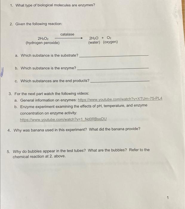 Solved 1. What type of biological molecules are enzymes? 2.