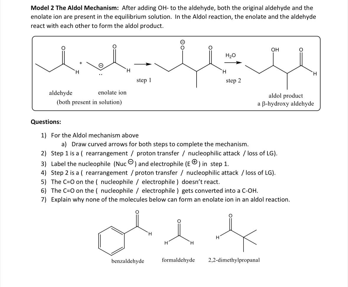 Solved Model 3 ﻿The Aldol Reaction | Chegg.com