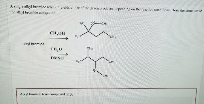 Solved A single alkyl bromide reactant yields either of the | Chegg.com