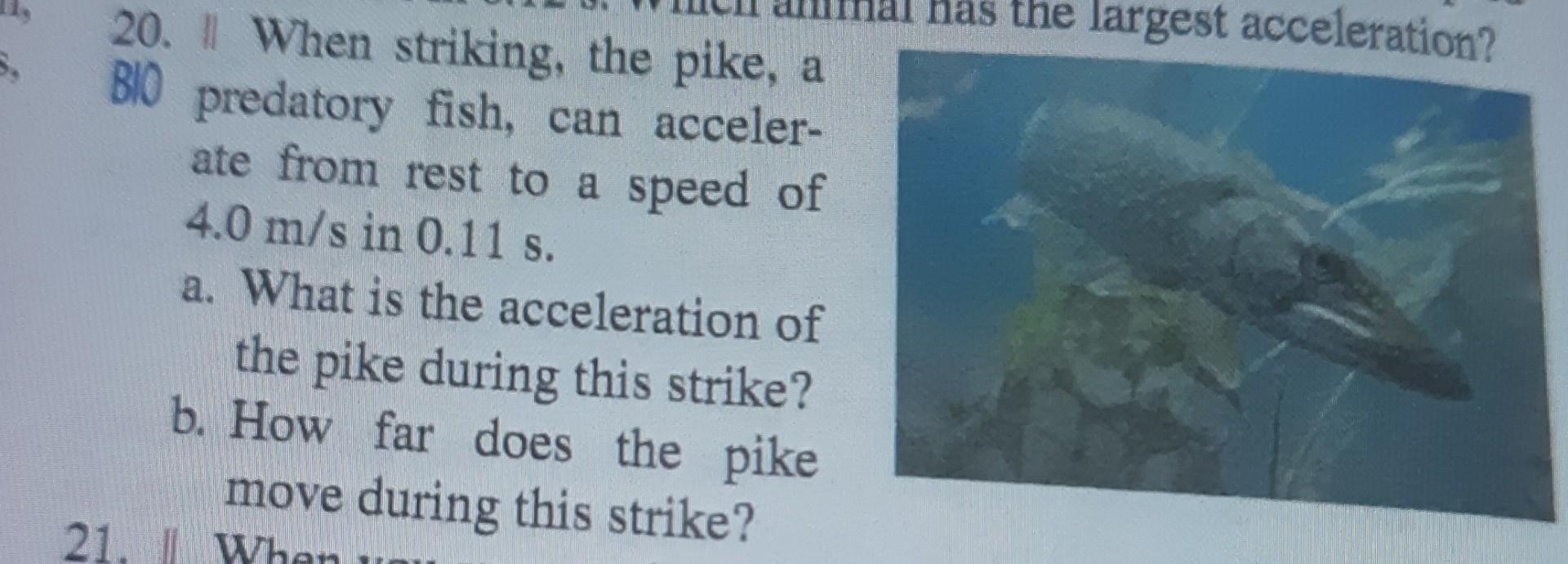 Solved 20. II When striking, the pike, a BlO predatory fish, | Chegg.com
