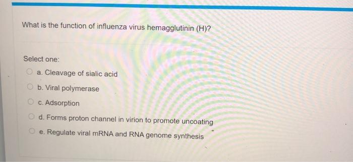 Solved What is the function of influenza virus hemagglutinin | Chegg.com