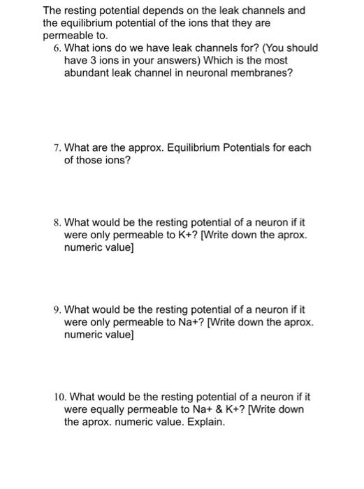 The resting potential depends on the leak channels and the equilibrium potential of the ions that they are permeable to.
6. W