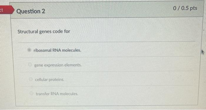 Solved Incorrect 0/0.5 pts Question 10 The fundamental | Chegg.com