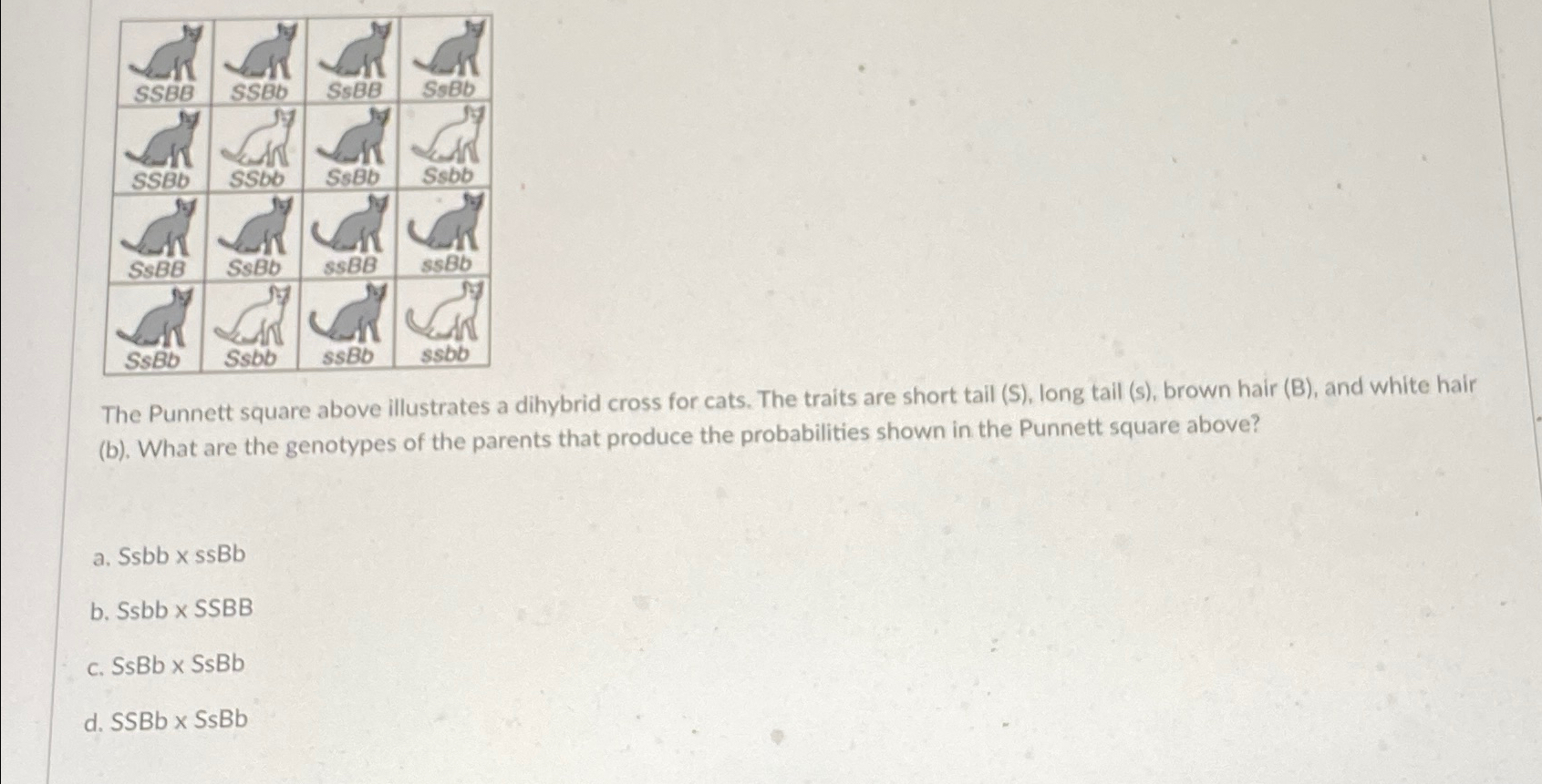 Solved The Punnett square above illustrates a dihybrid cross | Chegg.com