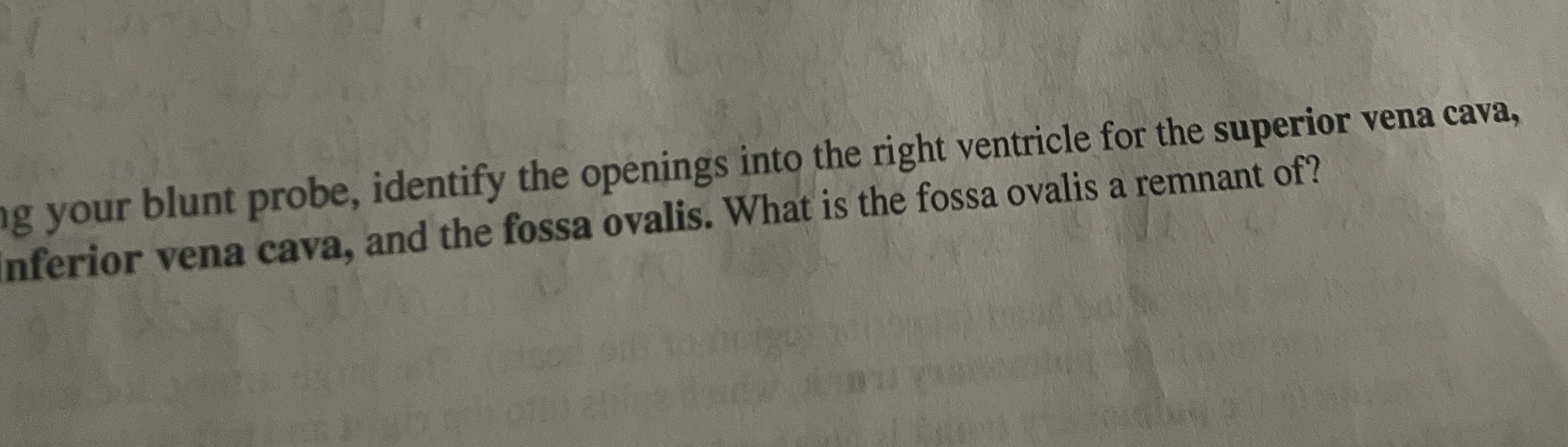 Solved Ig your blunt probe, identify the openings into the