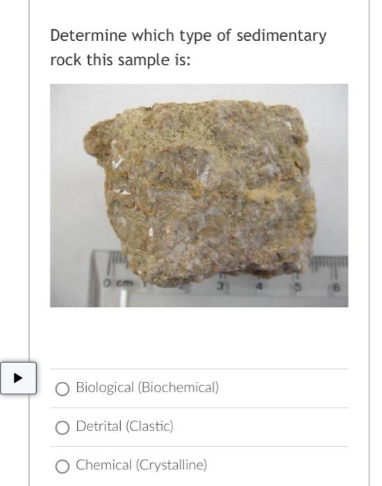 Question 10 What type of sorting does this | Chegg.com