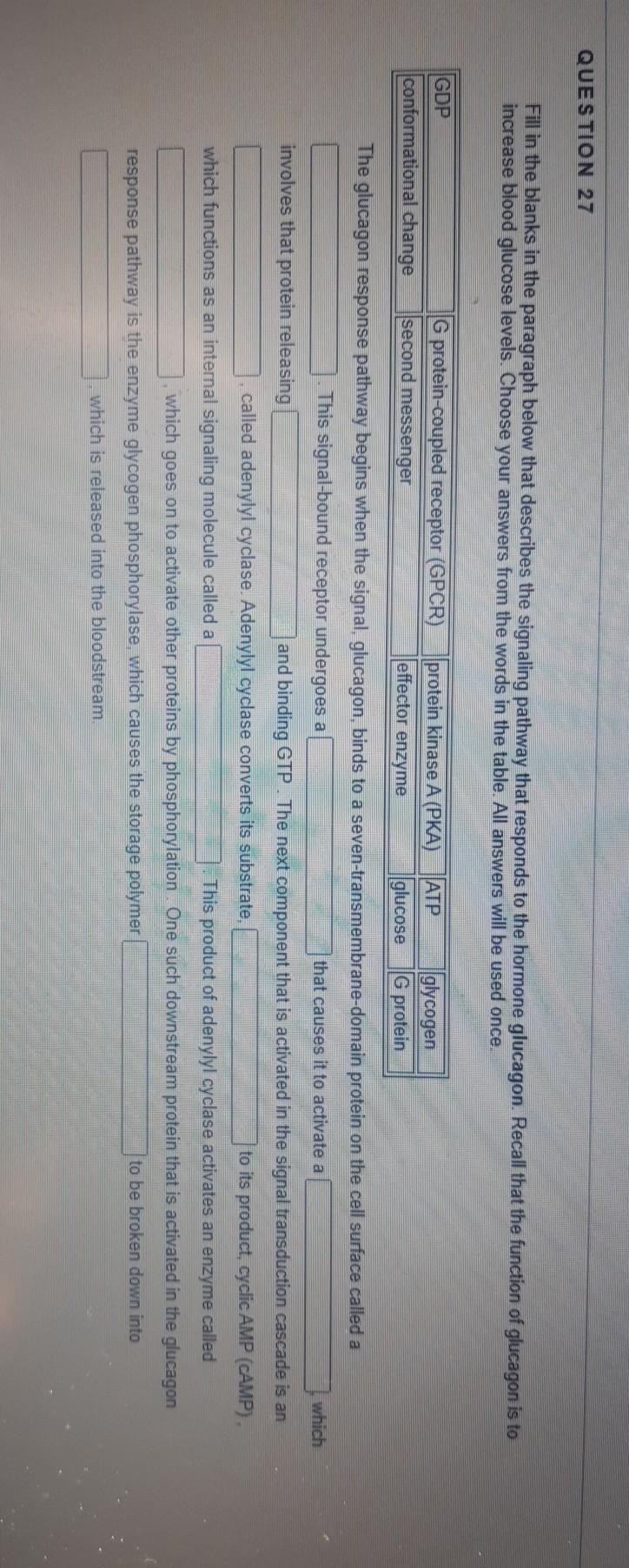 Use The Word Bank Below To Fill In The Blanks In The Paragraph About Population Growth