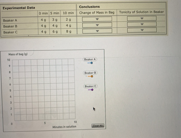 Solved When Molecules Undergo Diffusion, They Move From An | Chegg.com