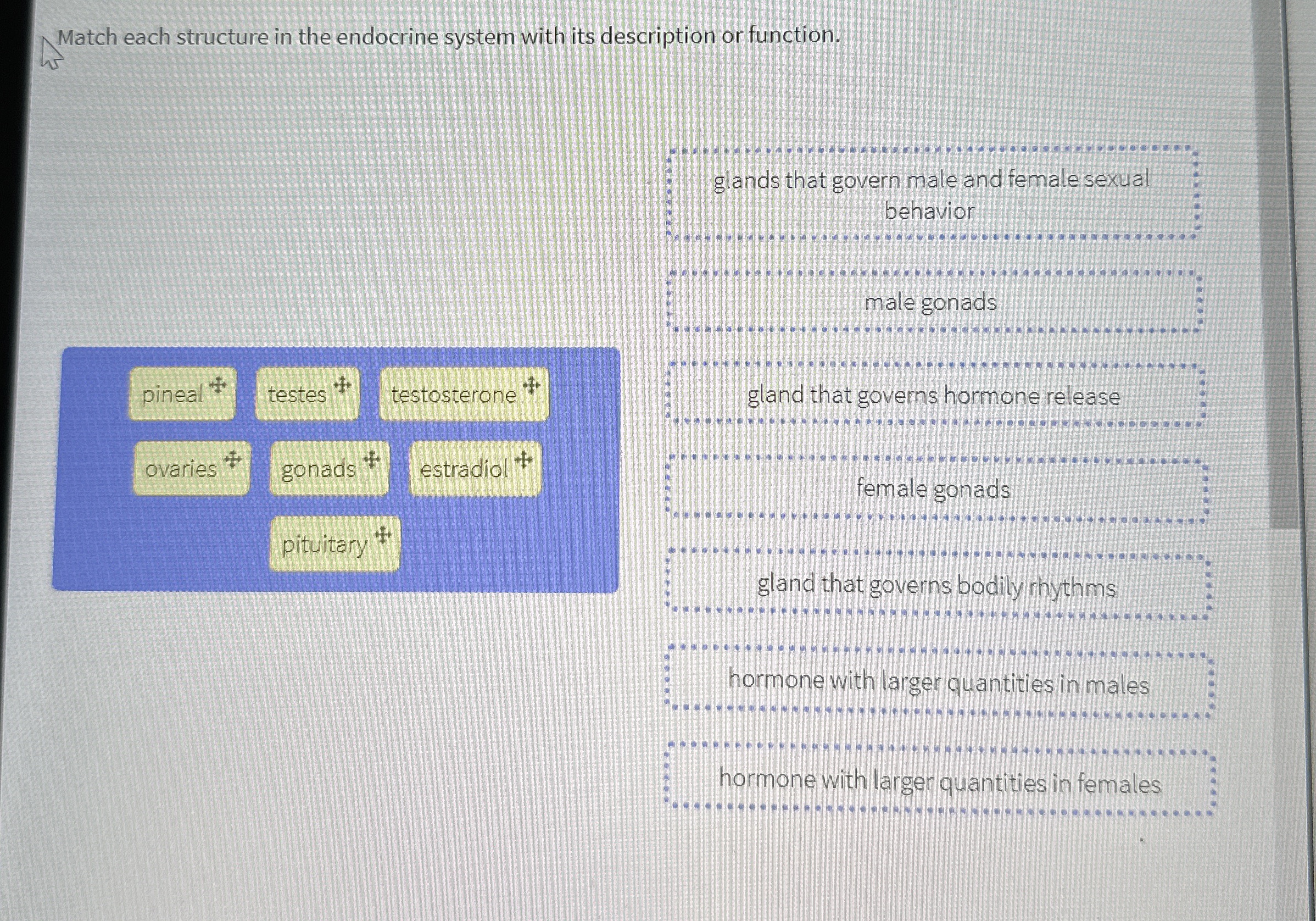 Solved Match each structure in the endocrine system with its