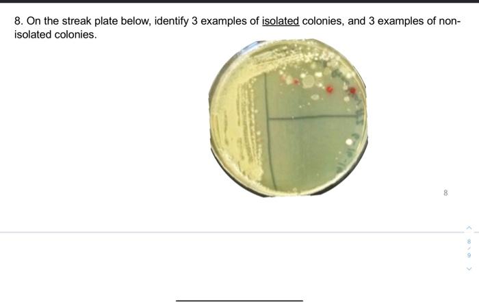 8. On the streak plate below, identify 3 examples of isolated colonies, and 3 examples of nonisolated colonies.