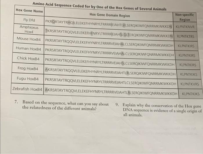 Solved Amino Acid Sequence Coded for by One of the Hox Genes | Chegg.com