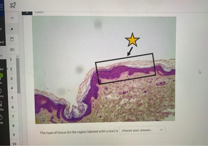 88 x poirn: Chegg com