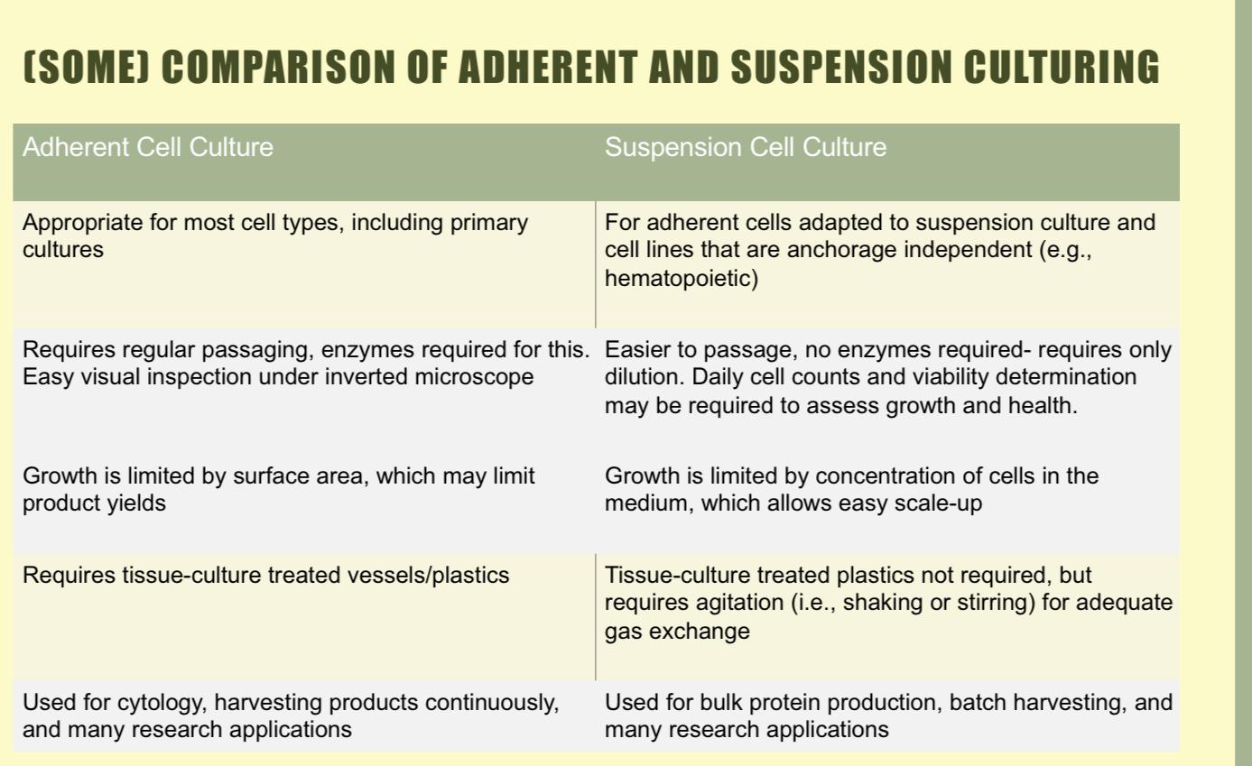 Solved Compare adherent and suspension culturing using this | Chegg.com