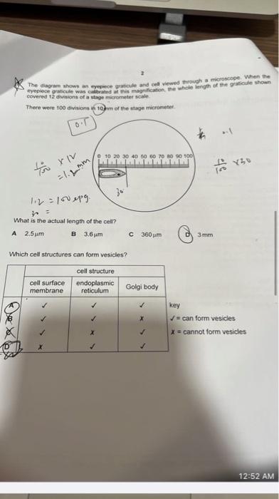 The diagram shows an eyepiece graticule and cell viewed through a microscope. When the
eyepiece the graticule shown
covered 1