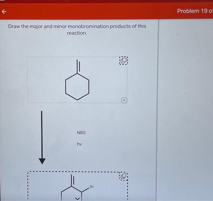 Solved Draw the major and minor monobromination products of