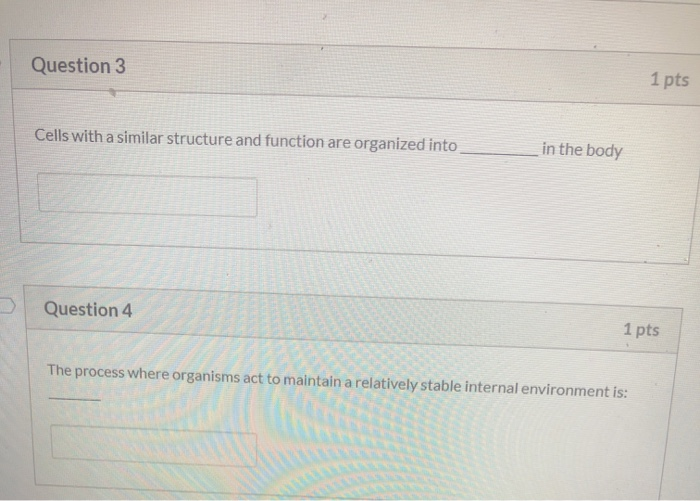 Solved Question 3 1 pts Cells with a similar structure and | Chegg.com