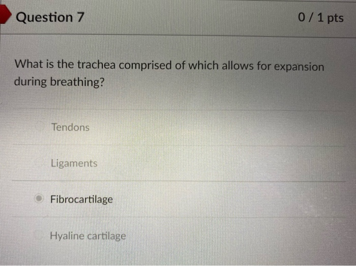 Solved Question 1 0/ 1 pts Which of the following statements | Chegg.com