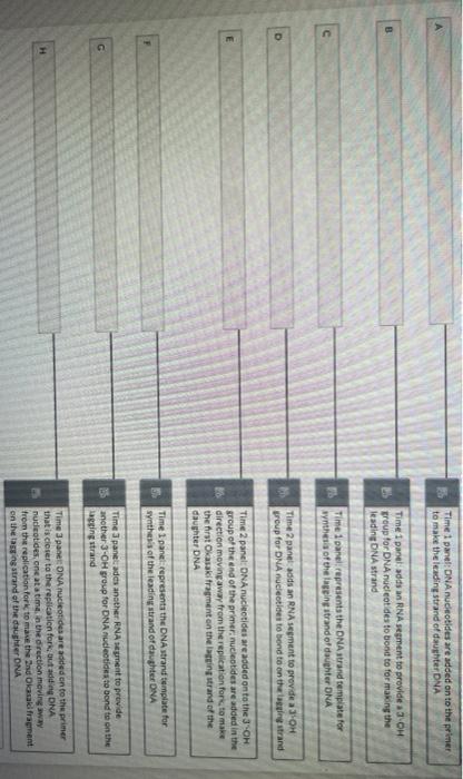 Solved thinds fenzevie not shown). Note that these and other | Chegg.com