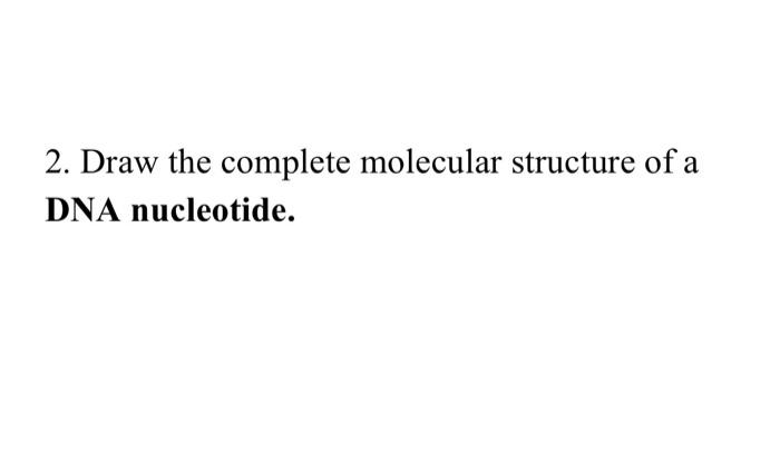 Solved 2. Draw the complete molecular structure of a DNA | Chegg.com