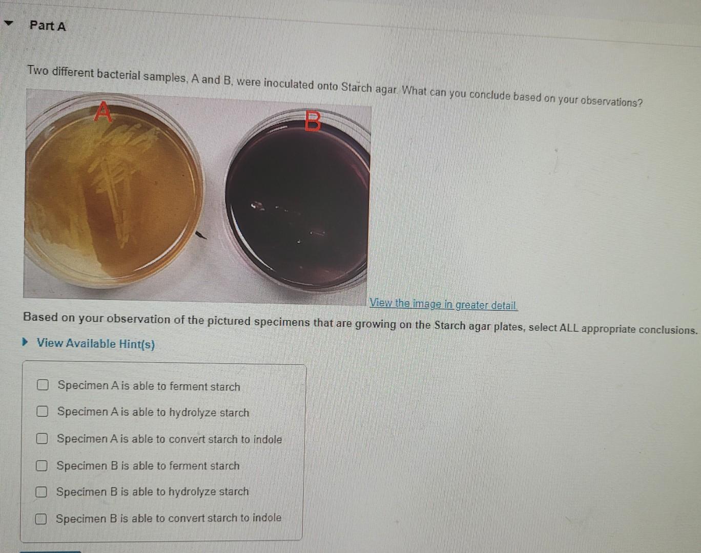 Solved Two Different Bacterial Samples, A And B, Were | Chegg.com