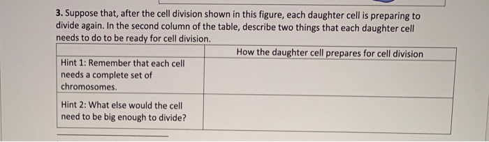 how do you do division again