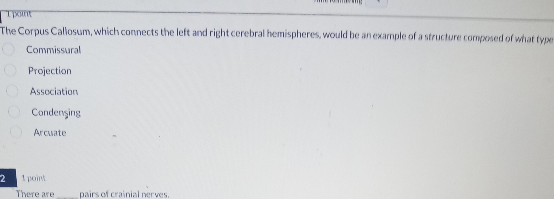 Solved IpointThe Corpus Callosum, which connects the left | Chegg.com