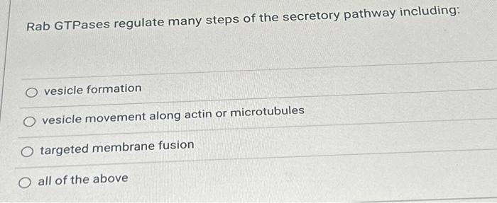 Solved Rab GTPases Regulate Many Steps Of The Secretory | Chegg.com