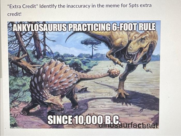 dinosaur meme questions