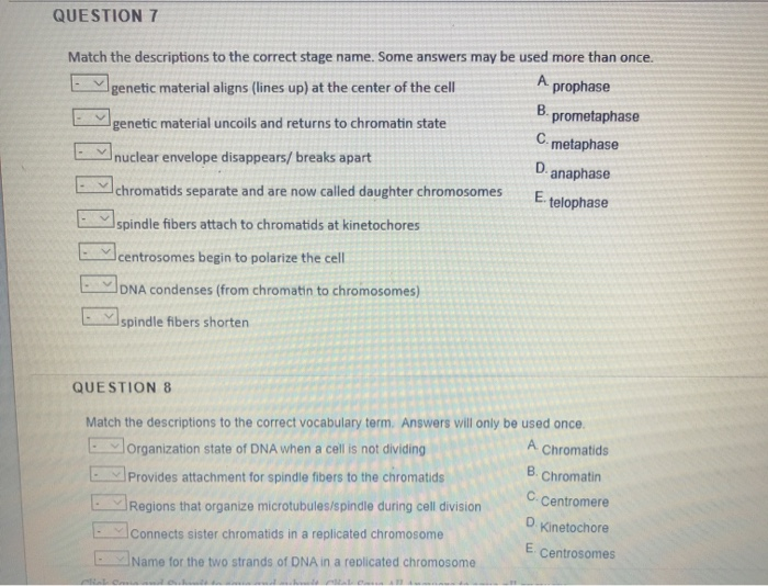 Solved QUESTION 7 Match the descriptions to the correct | Chegg.com