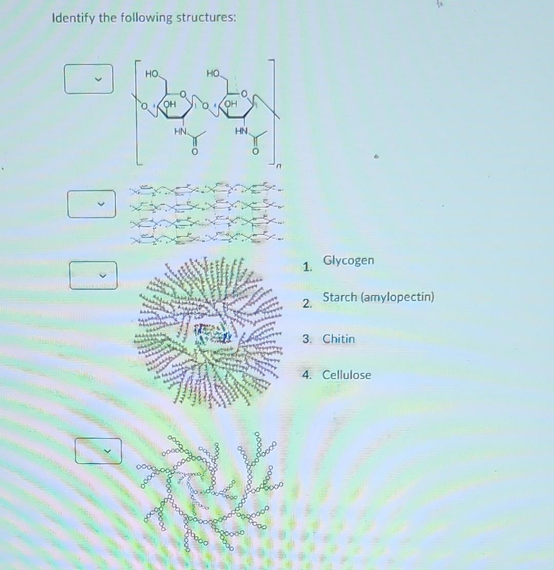Solved Identify the following structures: 1. Glycogen 2. | Chegg.com