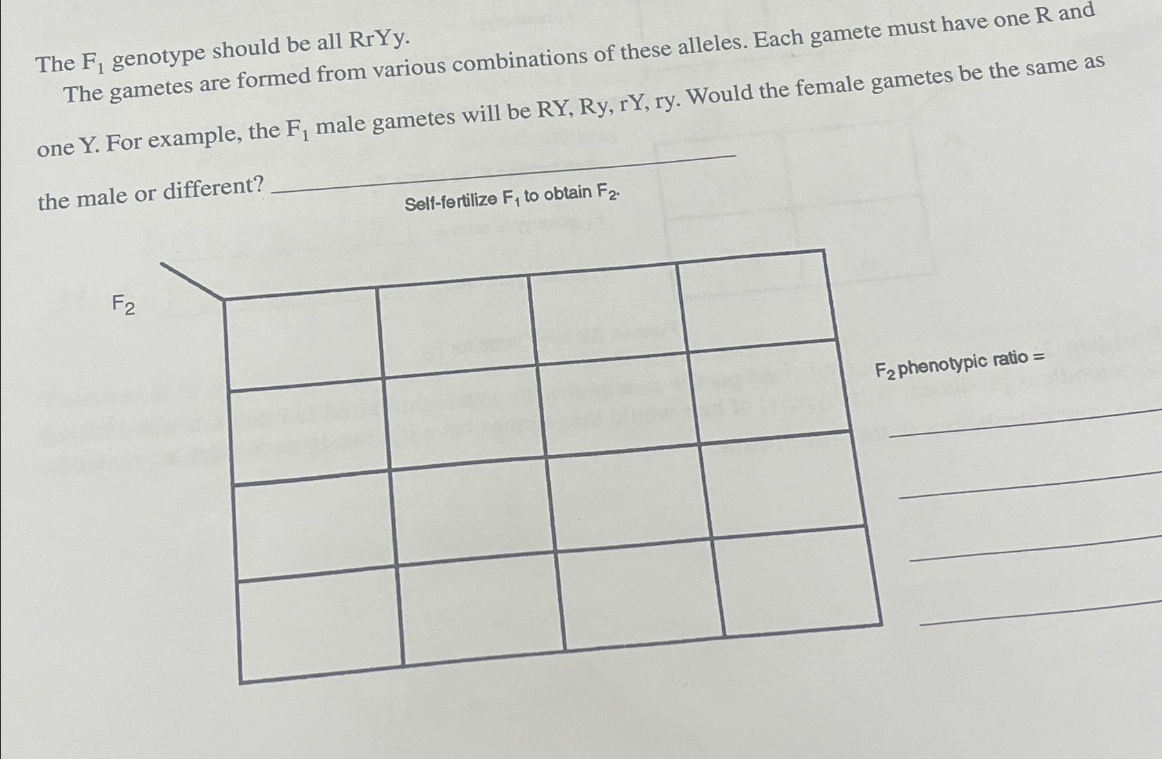 Solved The F1 ﻿genotype should be all RrYy.The gametes are | Chegg.com