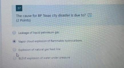 bp texas city case study answers