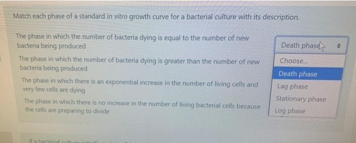 Solved Match each phase of a standard in vitro growth curve | Chegg.com