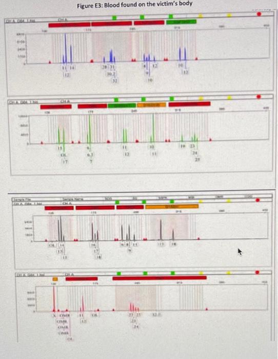 Below are four electropherograms, Figures E1-E4, | Chegg.com