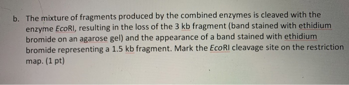 Solved .7 Problem 2 (5 pts) A linear fragment of DNA is | Chegg.com