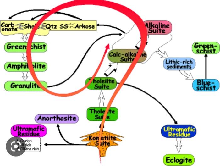 Fractionation plays a fundamental role in the | Chegg.com