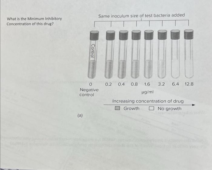Solved What is the Minimum Inhibitory Concentration of this | Chegg.com