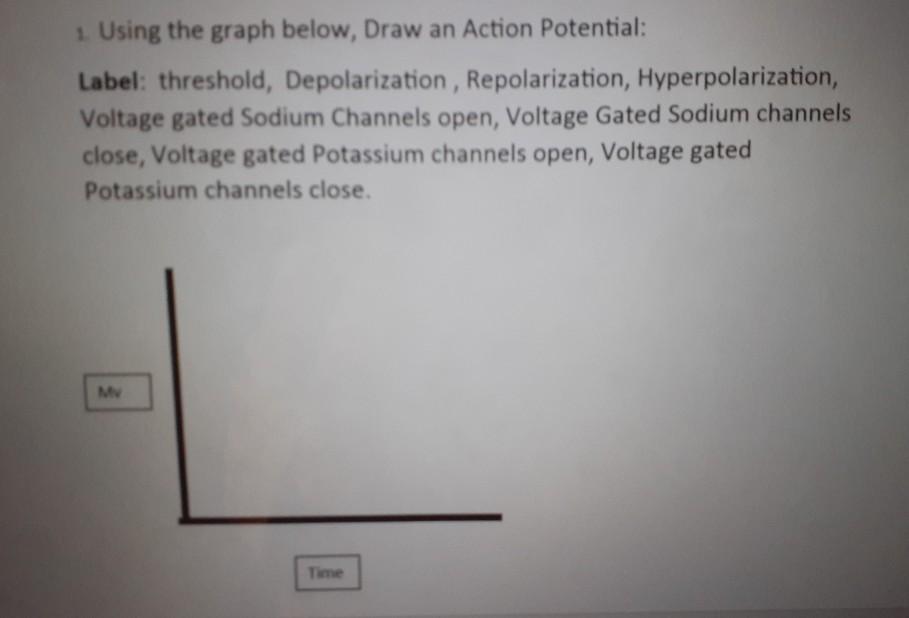 Solved 1. Using the graph below, Draw an Action Potential: | Chegg.com
