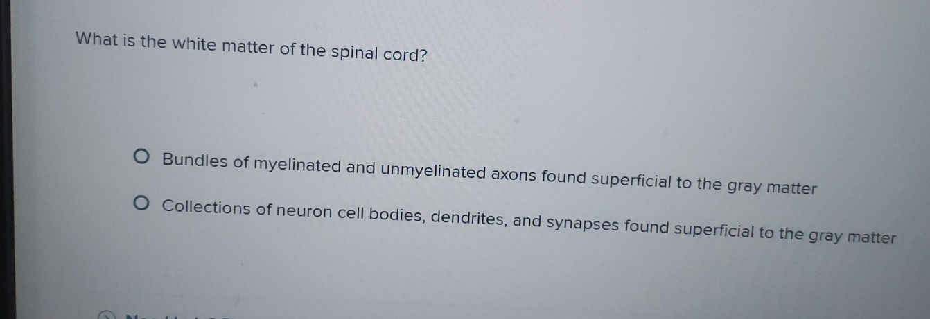 Solved What is the white matter of the spinal cord?Bundles | Chegg.com