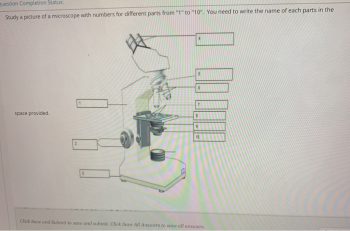 Solved Question Completion Status: Study a picture of a | Chegg.com