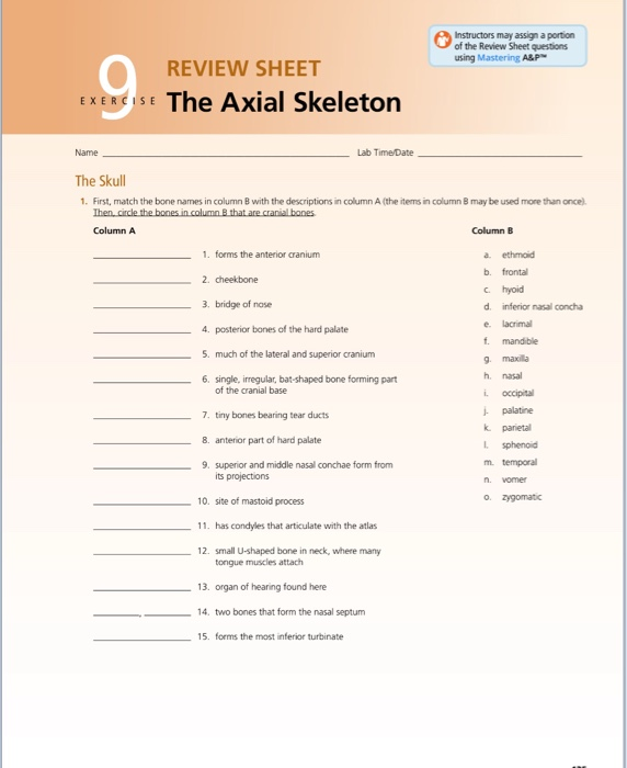 Exercise 9 Review Sheet The Axial Skeleton
