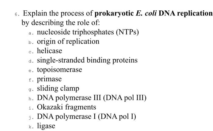 Solved 6. Explain the process of prokaryotic E. coli DNA | Chegg.com