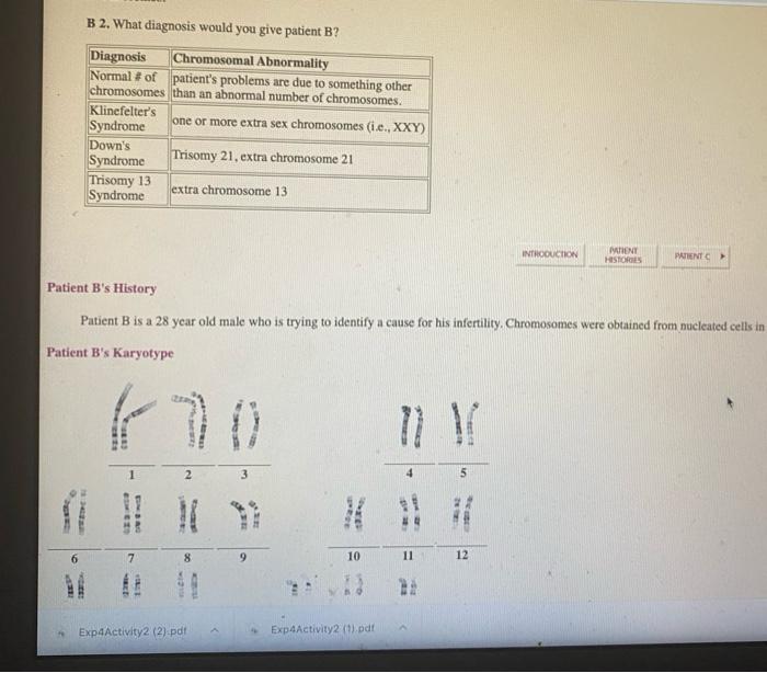 Solved Karyotyping Activity Patient B's Karyotype | Chegg.com